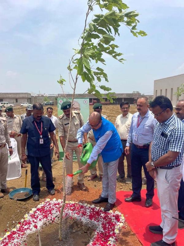 विश्व पर्यावरण दिवस पर राज्यपाल पाैधराेपण करते हुए