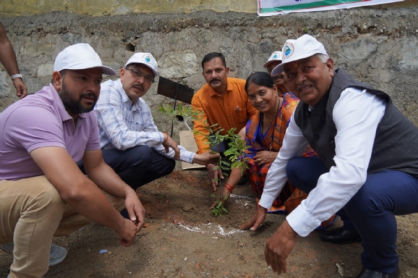 वृक्षारोपण करते जिलाधिकारी