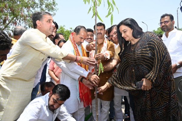 भाजपा कार्यालय पर वृक्षारोपण करते हुए भाजपा प्रदेश अध्यक्ष राठौड़।