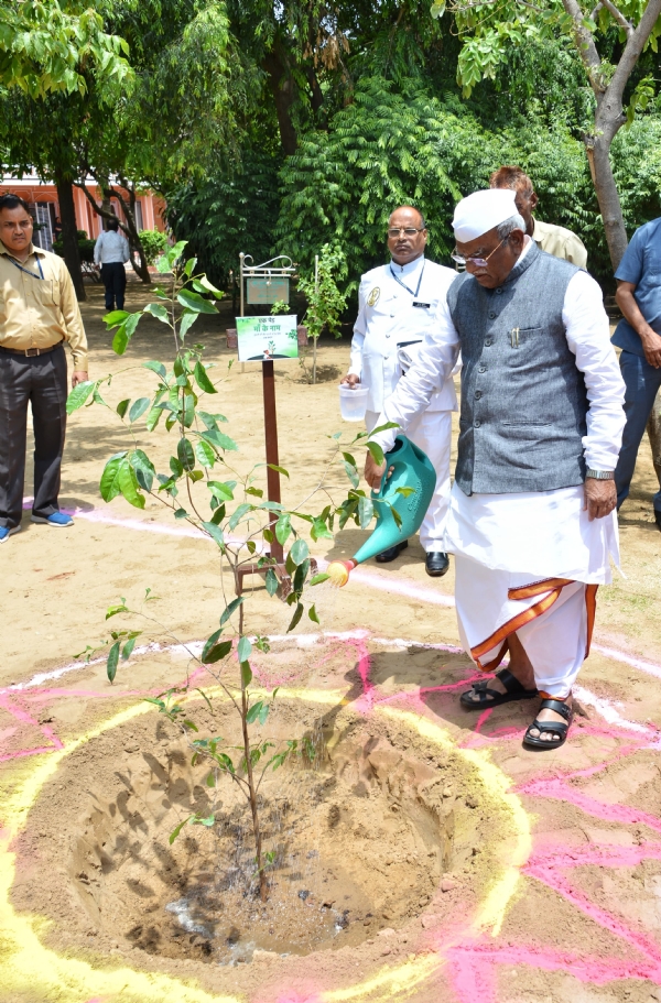 विश्व पर्यावरण दिवस पर राज्यपाल पौधारोपण करते  हुए।