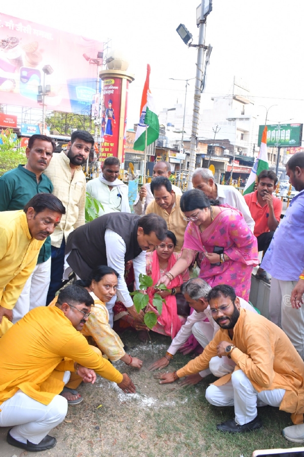 सांसद पर्यावरण पर सिन्दूर का पौधरोपण करते हुए