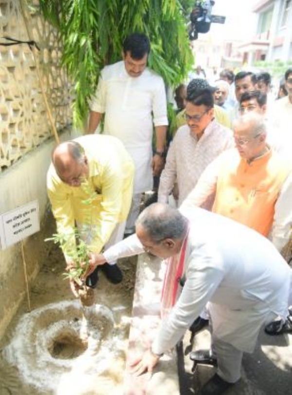 वृक्षारोपण करते प्रदेश भाजपा अध्यक्ष भूपेन्द्र चौधरी