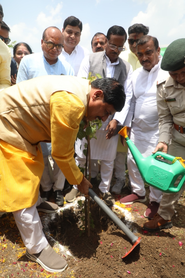 मुख्यमंत्री डॉ यादव ने विश्व पर्यावरण दिवस पर दताना एयर स्ट्रीप पर सिंदूर के पौधे का रोपण किया