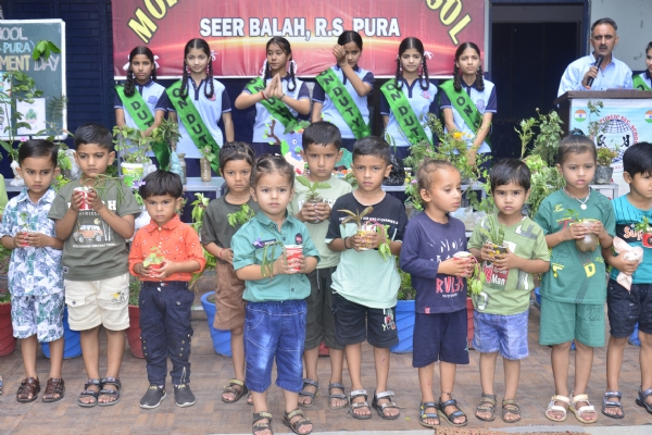 World environment day celebrated with enthusiasm  in schools