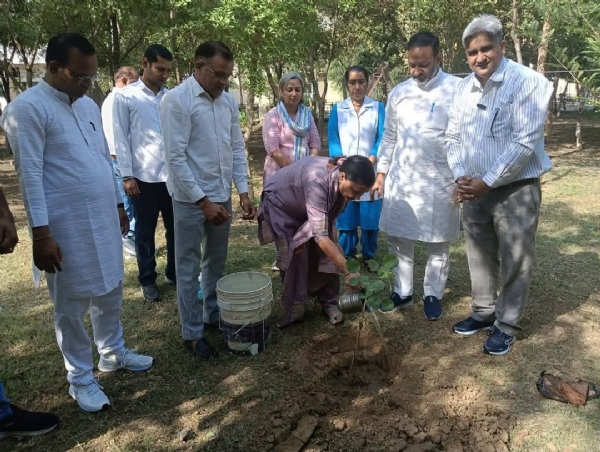 चंदन का पेड लगाते हुए भाजपा जिला अध्यक्षा ज्योति सैनी।