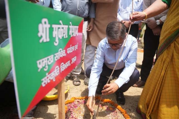 विश्व पर्यावरण दिवस पर पौधा लगाते हुए प्रमुख सचिव मुकेश (फोटो)