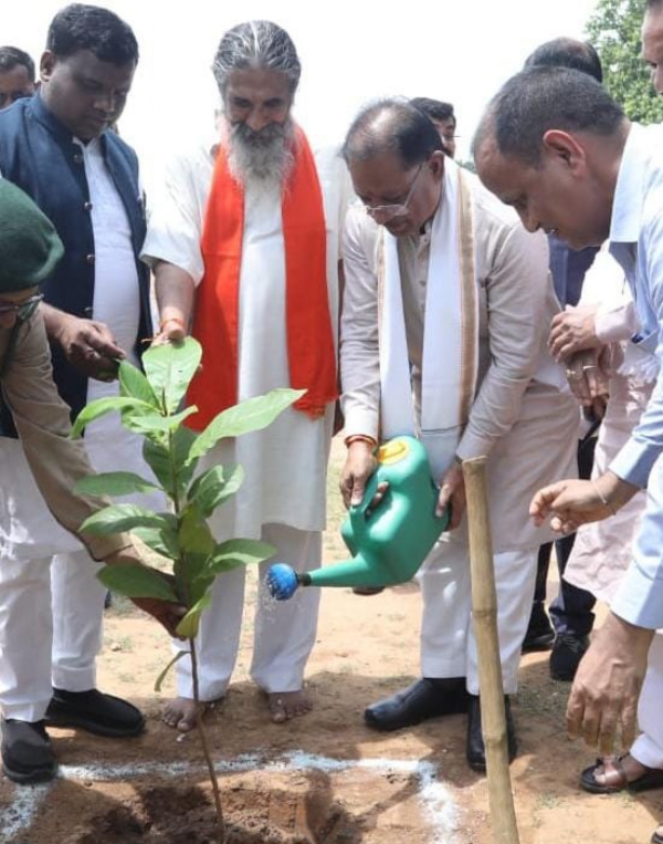 विष्णुदेव साय ने बादाम का पौधा रोपित किया