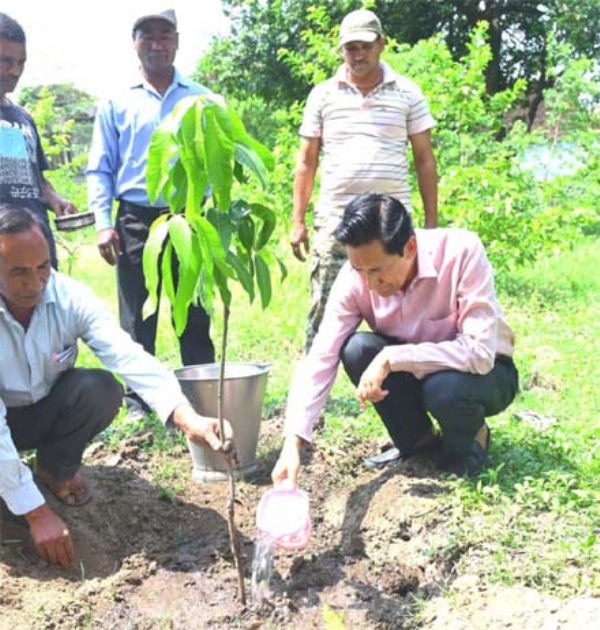 विश्व पर्यावरण दिवस पर आयुक्त दीपक रावत ने किया पौधारोपण