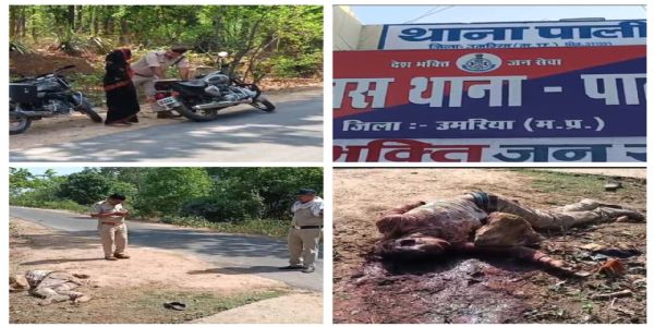 उमरिया : 24 घंटे के भीतर दूसरी घटना, पत्थर से सिर कुचलकर कर दी हत्या