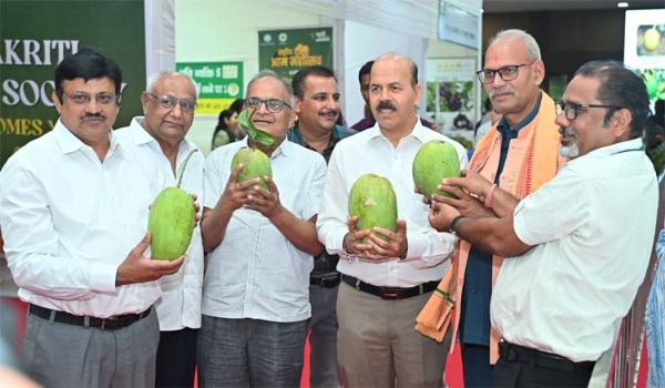 राष्ट्रीय आम महोत्सव का शुभारंभ