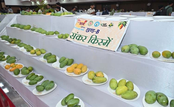 राष्ट्रीय आम महोत्सव का शुभारंभ