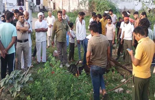 गायों की मौत के बाद मौके पर मौजूद ग्रामीणवासी।