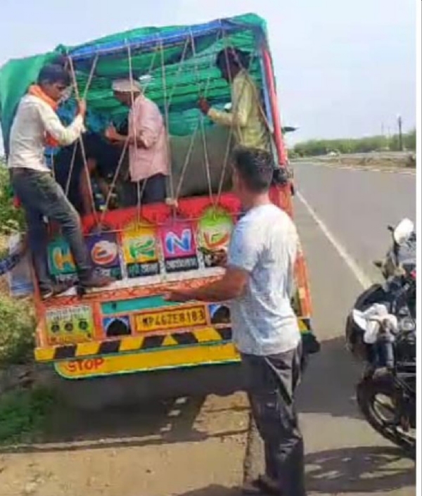 गोकशी के लिए ले जाए जा रहे एक दर्जन गोकशी के लिए ले जाए जा रहे एक दर्जन