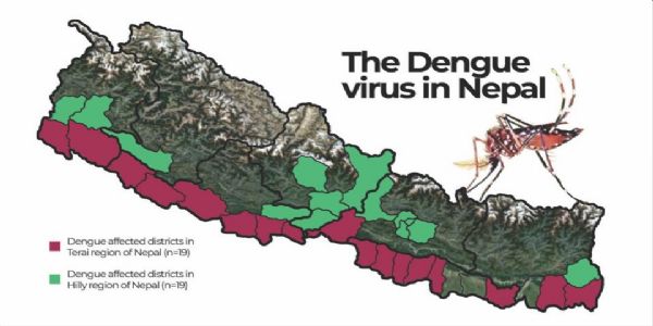 नेपाल के 76 जिलों में से 71 डेंगू की गिरफ्त में