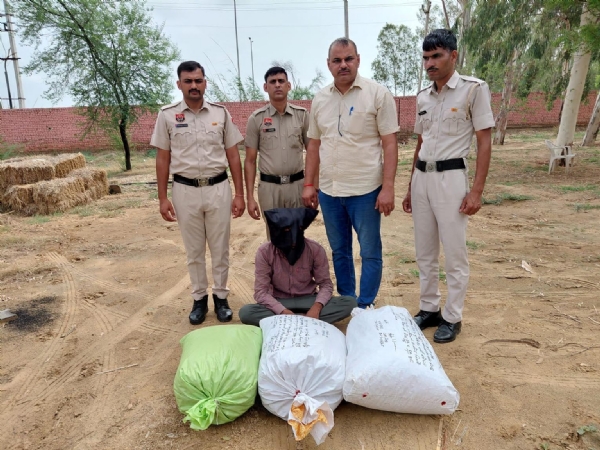 फतेहाबाद। चूरापोस्त सहित पकड़ा गया युवक।