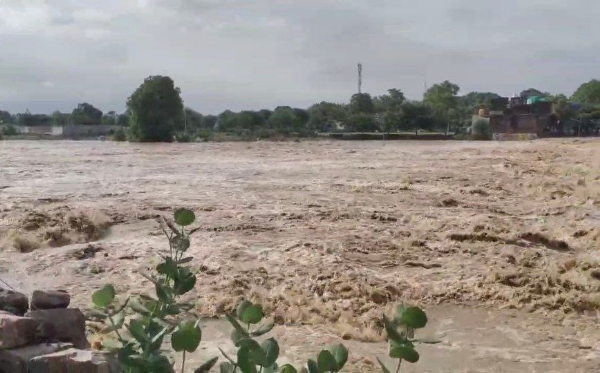 दमोह-दमोह में 17 इंच बारिश अभी हाई अलर्ट कलेक्टर ने कहा सर्तक रहें