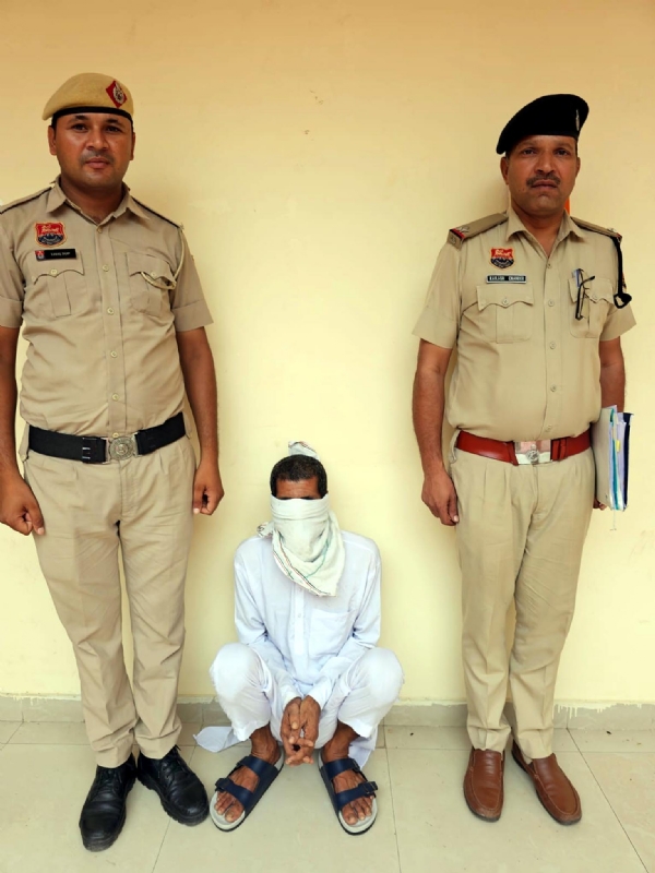 फतेहाबाद। पुलिस गिरफ्त में राजस्थान से पकड़ा गया गांजा सप्लायर।
