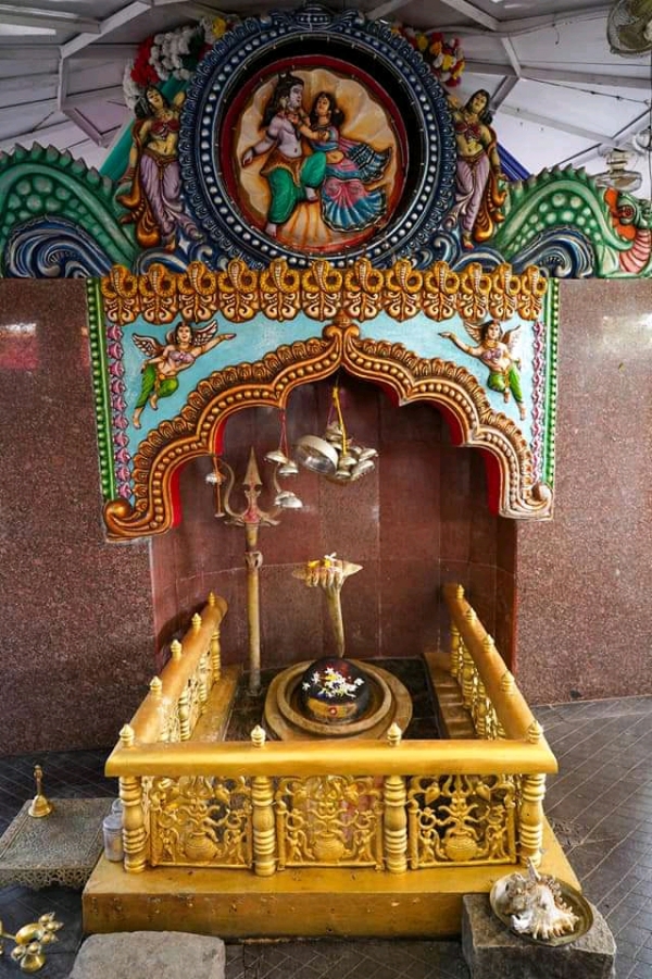 संजय सेठ और अन्य जनप्रतिनिधि शुक्रवार को करेंगे बाबा आम्रेश्वर धाम श्रावणी मेले का उद्घाटन