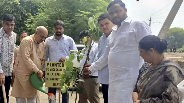 सेक्टर-64 में पौधारोपण करते विधायक मूलचंद शर्मा