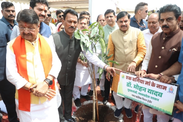 एक बगिया मां के नाम (फाइल फोटो)