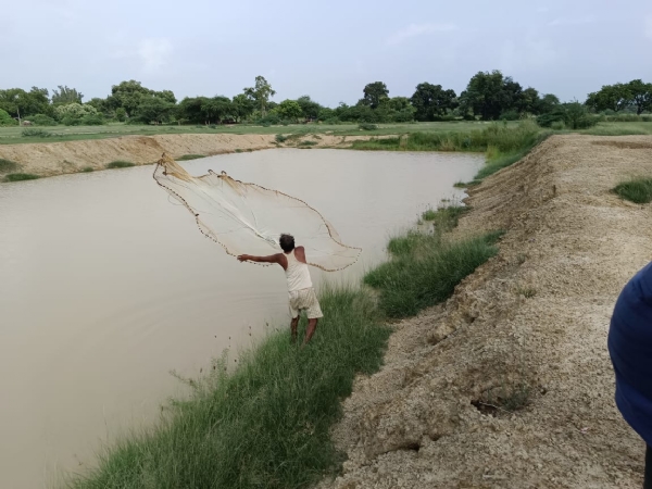तालाब में मछली पकड़ने के लिए जाल डालता मछुआरा