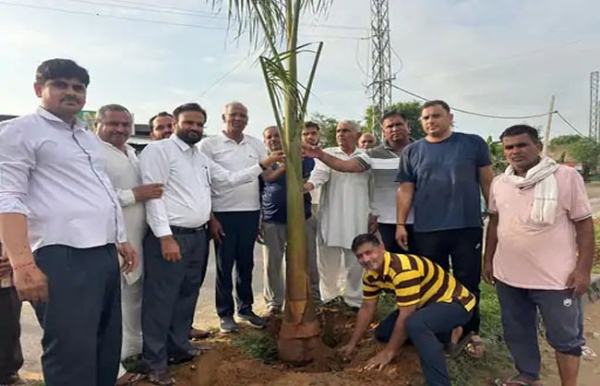 पौधारोपण करते हुए विधायक कंवर सिंह यादव।