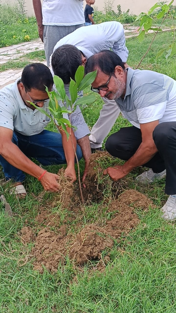 एक पेड़ मां के नाम’ अभियान के तहत राप्तीनगर विस्तार में कराया गया पौधारोपण*