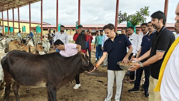 रीवाः उप मुख्यमंत्री शुक्ल ने बसामन मामा वन्य विहार में निर्माण कार्यों का किया लोकार्पण