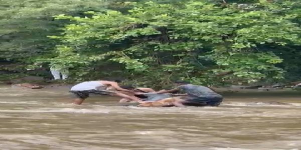 निलिया महादेव झरने पर युवक डूबा, तीन को बचाया