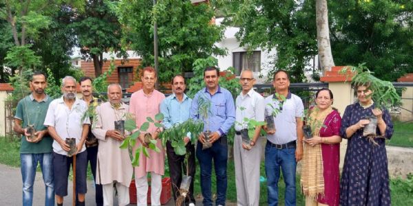 ब्राह्मण सभा छन्नी हिम्मत द्वारा प्रारंभ किया गया वृक्षारोपण अभियान