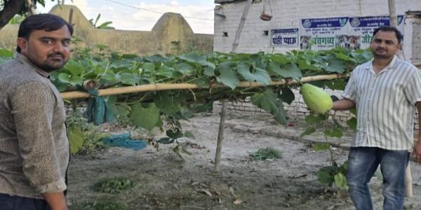 केवीके परसौनी ने प्राकृतिक खेती से तैयार लौकी का किया प्रत्यक्षण
