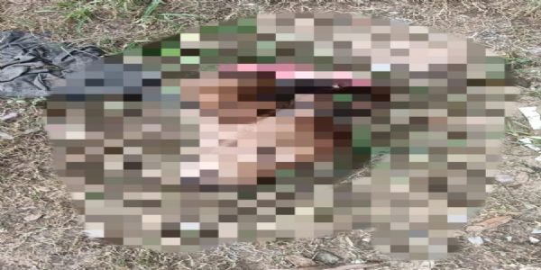 कोरबा में बछड़े का कटा हुआ सिर और अन्य अंग मिलने से हड़कंप, गौ सेवकों में आक्रोश