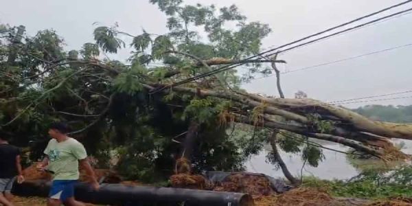 दक्षिण 24 परगना में महज़ तीन मिनट की तूफानी तबाही, दर्जनों घर क्षतिग्रस्त