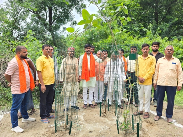 महर्षि बामदेव मंदिर सहित मिल्कीपुर के पांच गावों में हुआ पौधरोपण