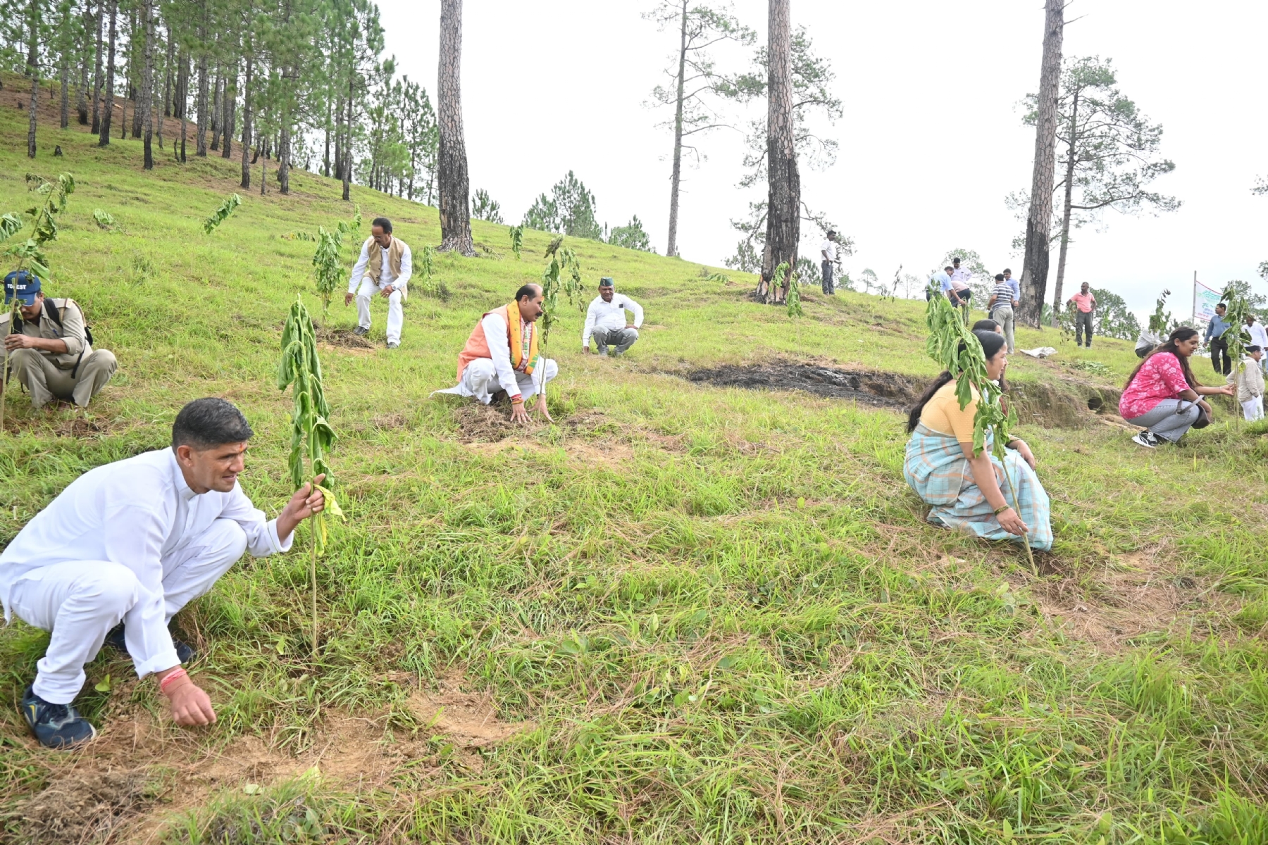 हरेला पर्व पर पौधरोपण करते लोग।