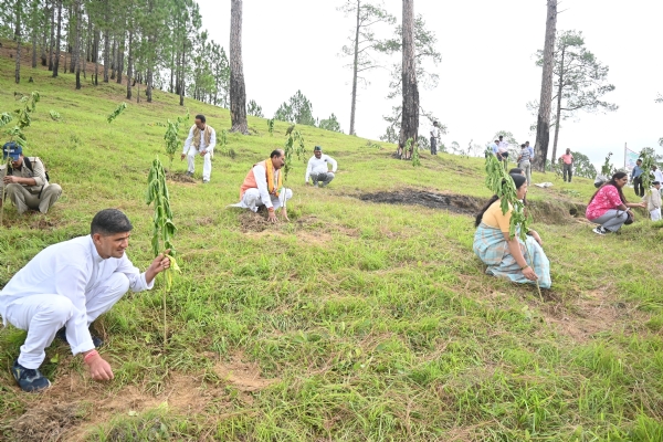 हरेला पर्व पर पौधरोपण करते लोग।
