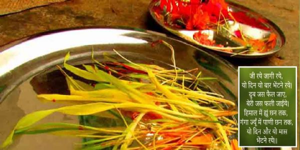 हरेला पर्व: उत्तराखंड में प्रकृति और संस्कृति का उत्सव, पर्यावरण संरक्षण का संदेश