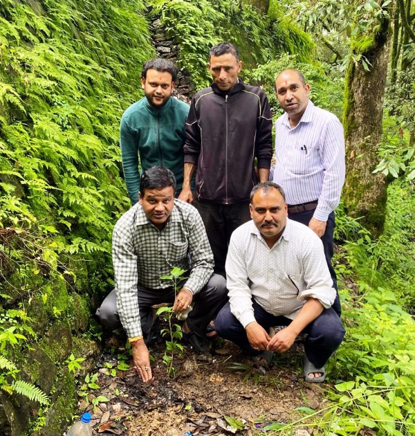 डीएसबी परिसर नैनीताल में पौधरोपण करते प्राध्यापक एवं विद्यार्थी।