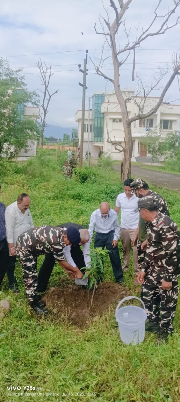 पौधरोपण करते एसएसबी के अधिकारी व जवान।