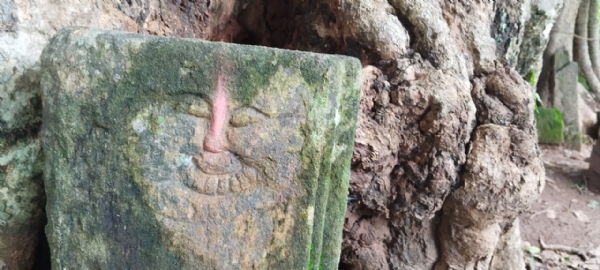 लोगों की आस्था और कौतुहल का केंद्र हैं महादेव टोली के विशाल पीपल पेड़ पर विराजमान शिवलिंग