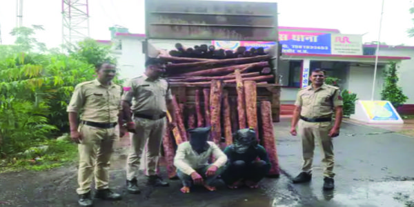 मंदसौर : पुलिस ने पकड़ा 4 करोड़ का लाल चंदन, दो आरोपी गिरफ्तार