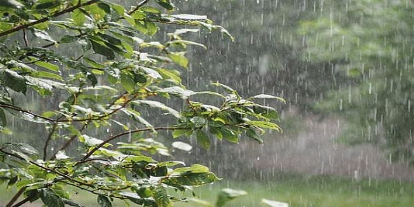 झारखंड के पलामू जिले में सबसे अधिक 204 मिलीमीटर हुई बारिश