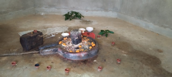लोगों की आस्था और कौतुहल का केंद्र हैं महादेव टोली के विशाल पीपल पेड़ पर विराजमान शिवलिंग