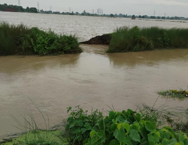 जमालपुर के भोंकानाला का टूटा तटबंध।