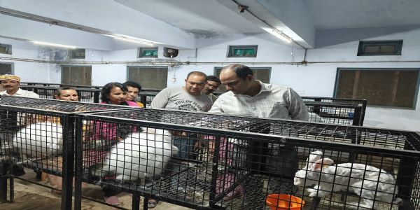 ग्रामीण रोजगार का नया आधार देगा अंगोरा पालन