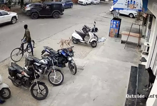 सीसीटीवी फुटेज के अनुसार कार को टक्कर मारती थार गाड़ी।