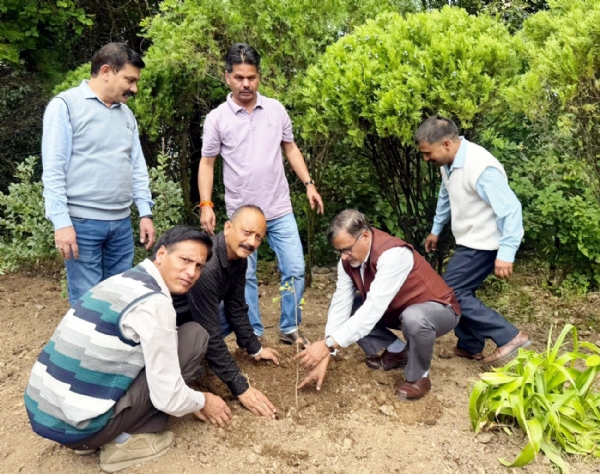 कुमाऊँ विश्वविद्यालय में जिंगो बाइलोबा का पौधा रोपते कुलपति।