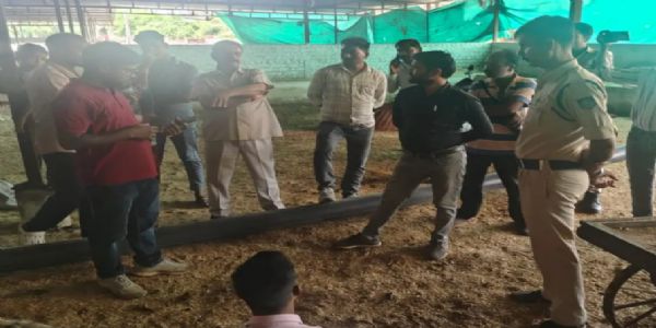 राजगढ़ः गोशाला में बछड़े का मिला आधा शव, कर्मचारियों पर लापरवाही का आरोप