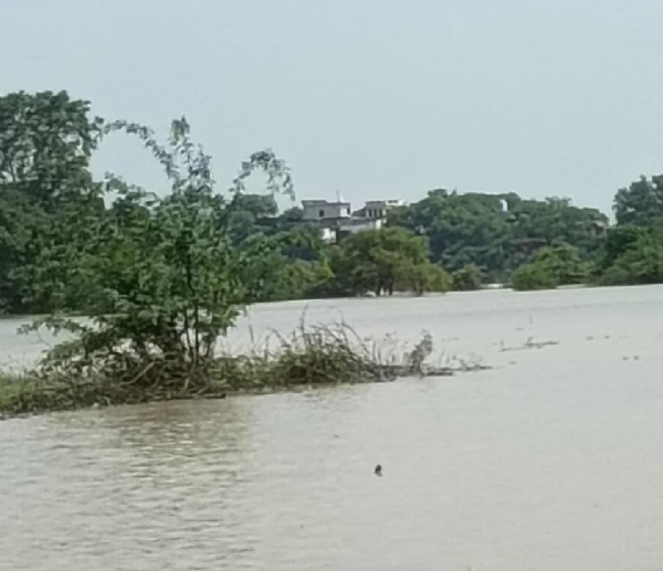 कई डैमों से पानी छोड़े जाने से गांवों में घुसा बाढ़ का पानी, ग्रामीणों में हाहाकार