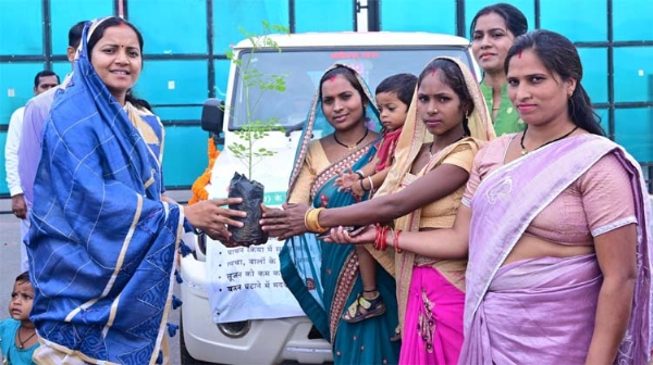 मंत्री लक्ष्मी राजवाड़े मुनगा का पौधा व‍ितरण करती हुई